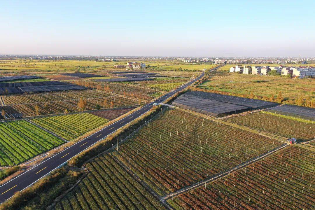 【美丽姚圩】姚圩镇:打通家门口"最后一公里", 铺就乡村"振兴之路"