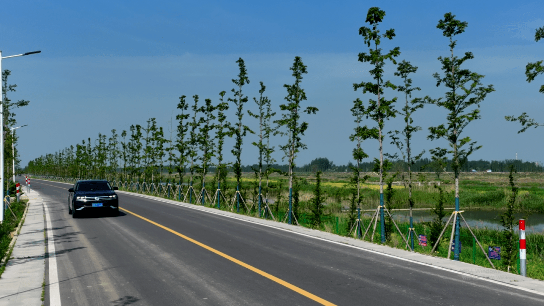 邹城孟子湖环湖路图片