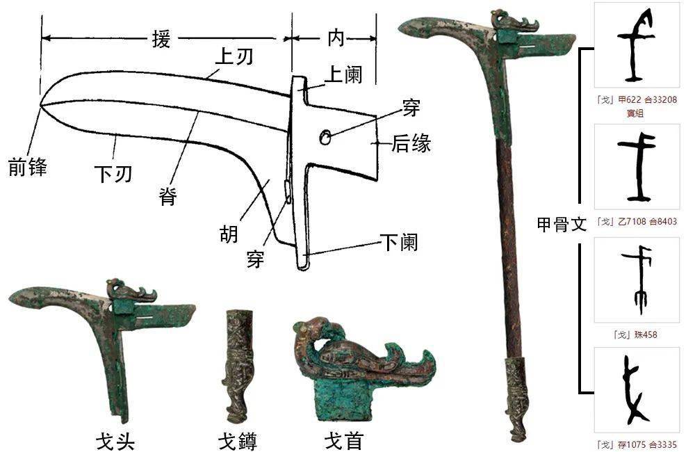 甲骨文戈图片