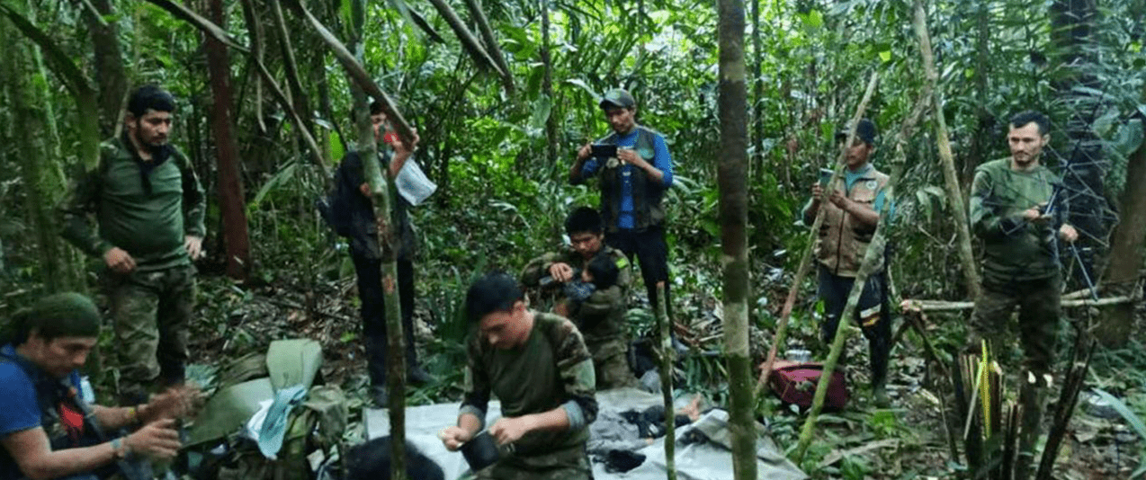 奇迹生还！四名儿童遇空难幸存，在亚马孙雨林生活了一个多月