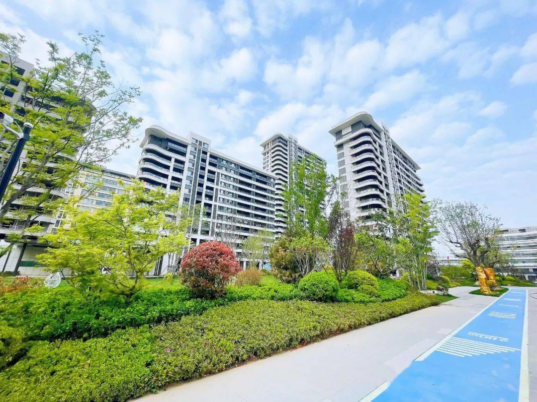 动感t台秀,童模展风采,青建尚东郡邀您共赏!_童模大_高密市_相关