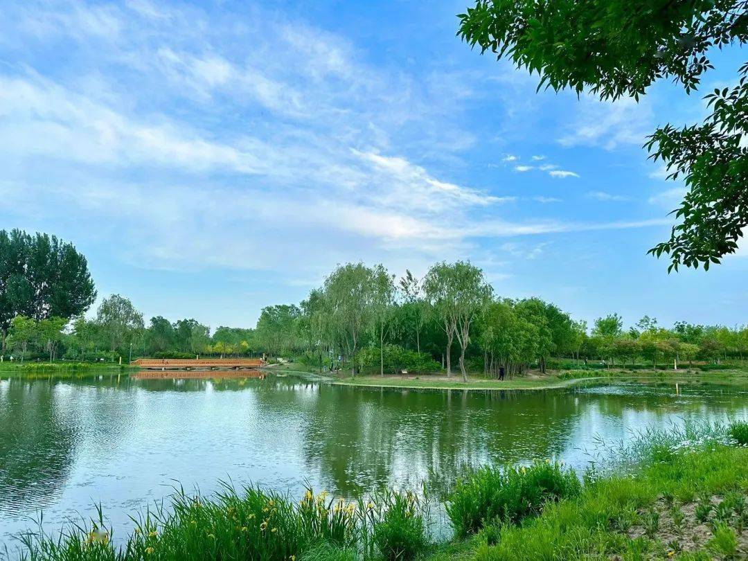 水中有林,林水相依的湿地森林景观,这里就是东郊湿地公园