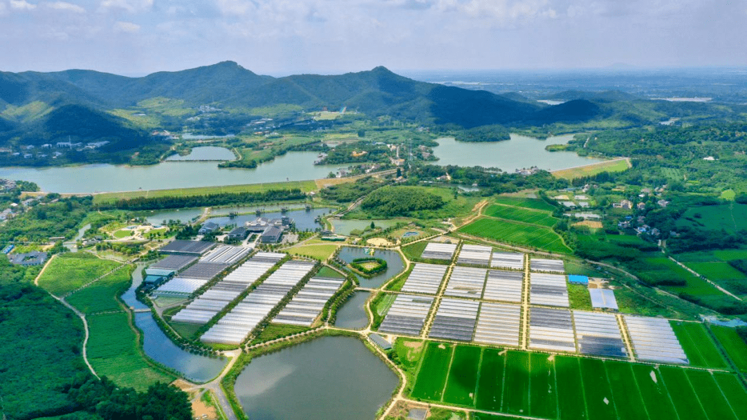 常州這個古鎮火了_薛埠_茅山_金壇