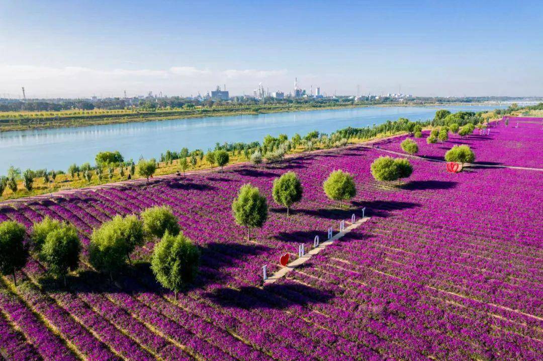 呼和浩特:绿水青山 和谐共生_生态_建设_公园