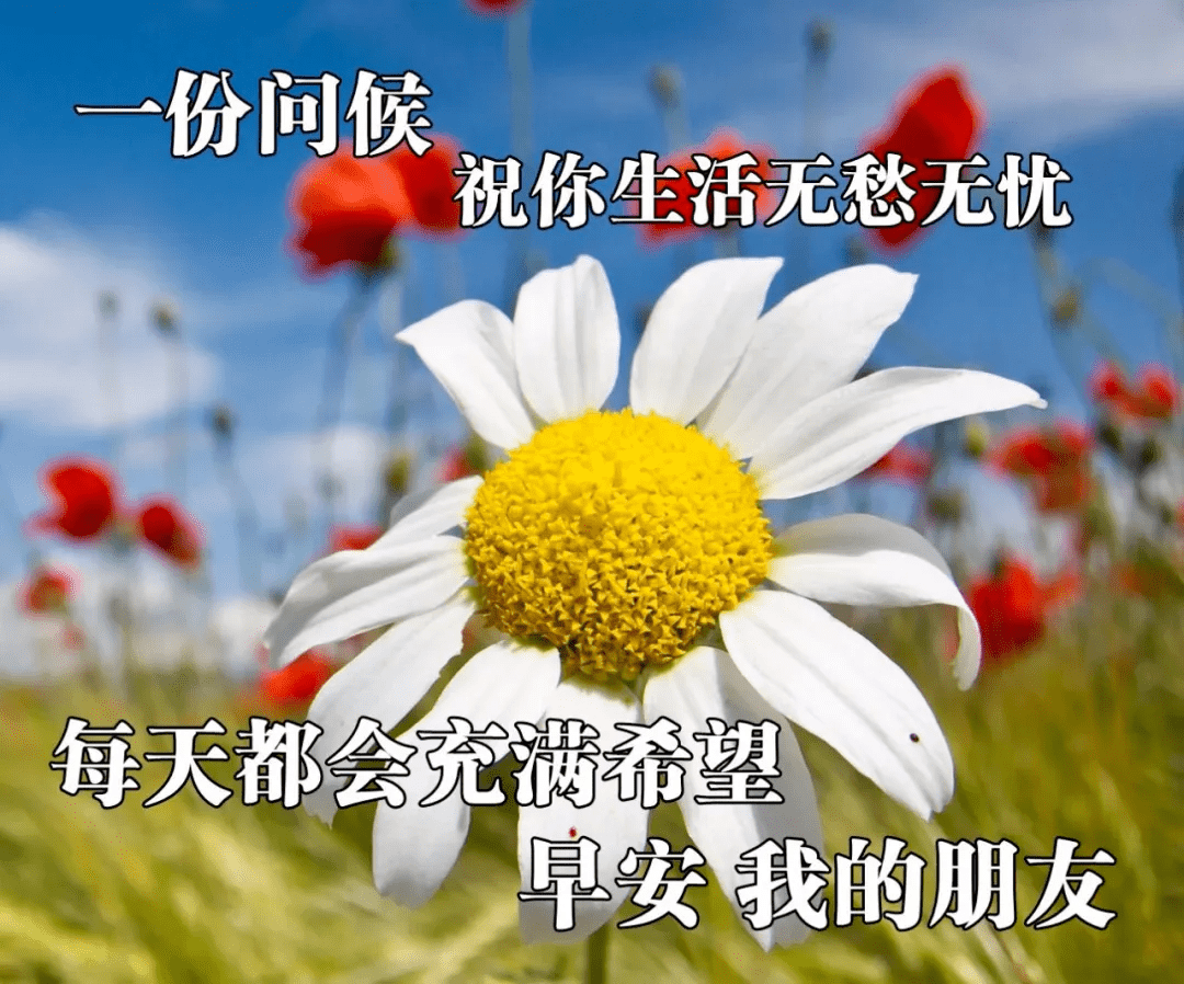 最新版最漂亮的早上好短语句子，问候暖心，早安吉祥！（早上好短句 新版2021）