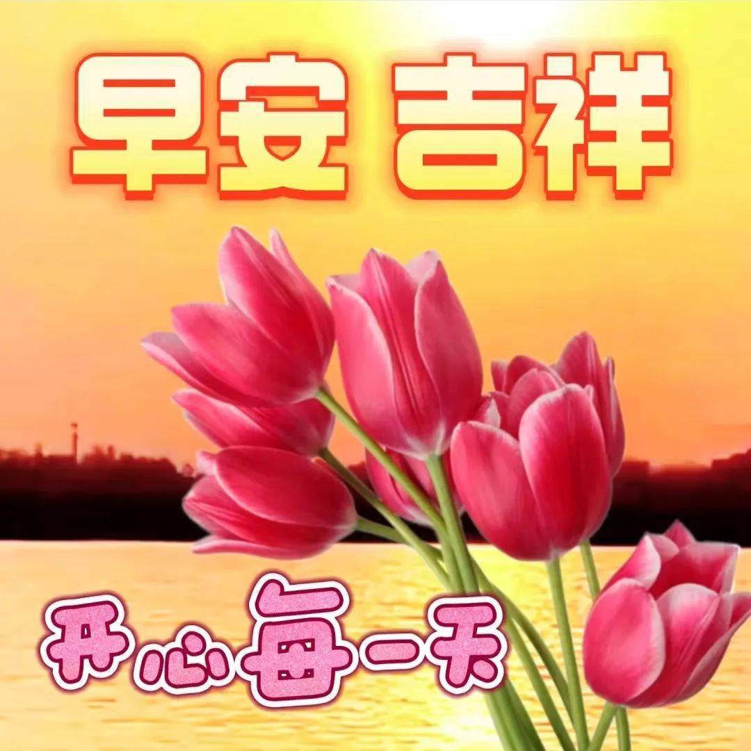 今日最新早上好表情图片大全,轻轻的问候,深深的祝福,健康快乐_星期