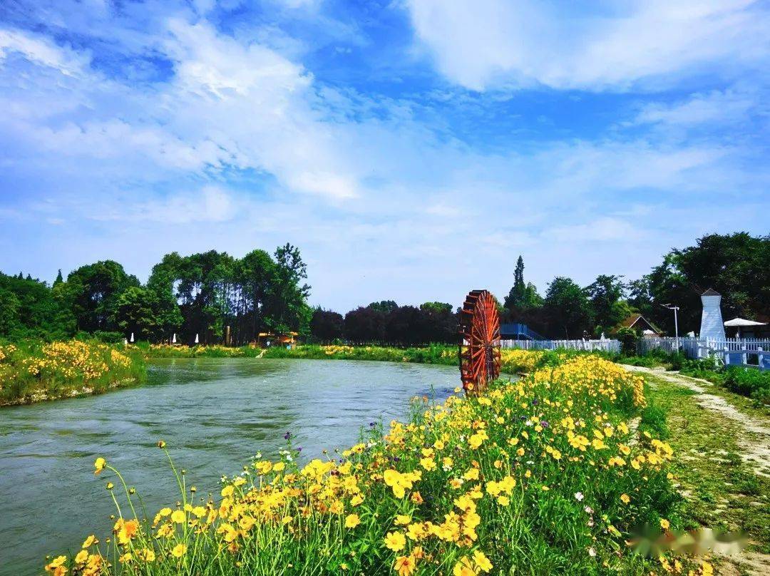 崇州市戚家湾看花图片