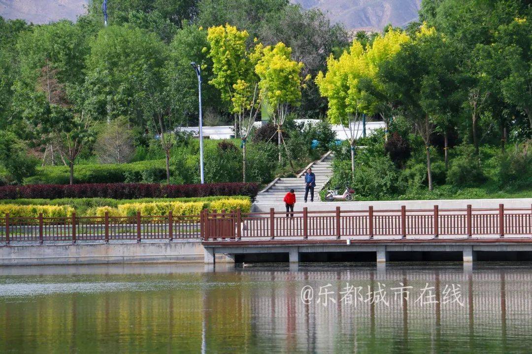 漫步三河六岸湿地公园,用脚步丈量乐都夏日美景!_夏天_城市_野花