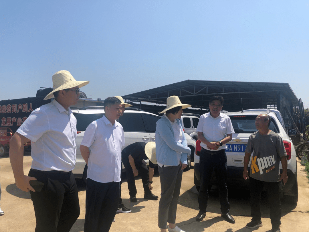 南昌市乡村振兴局赴安义县调研指导重点村乡村建设和产业发展_农村