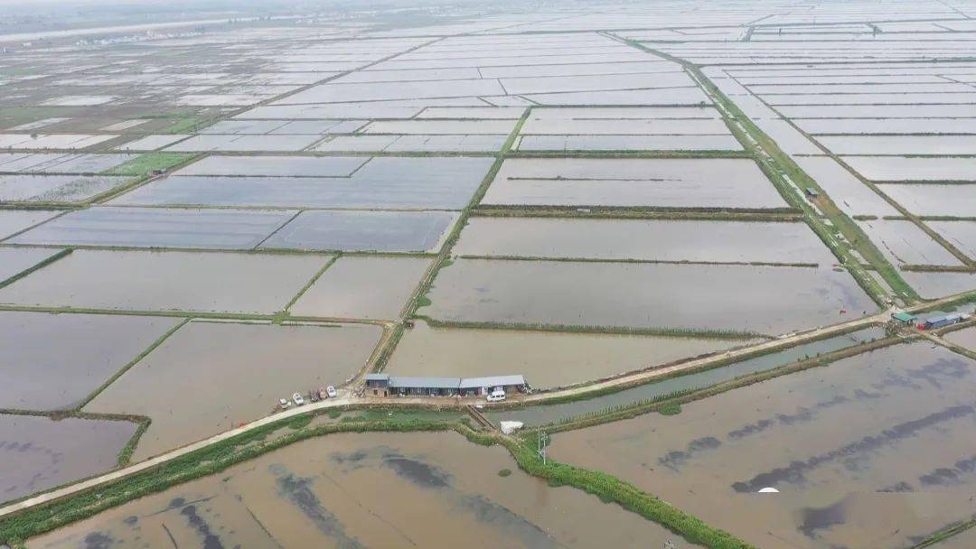 致富经淡水虾养殖视频_致富经养河虾_致富经养虾