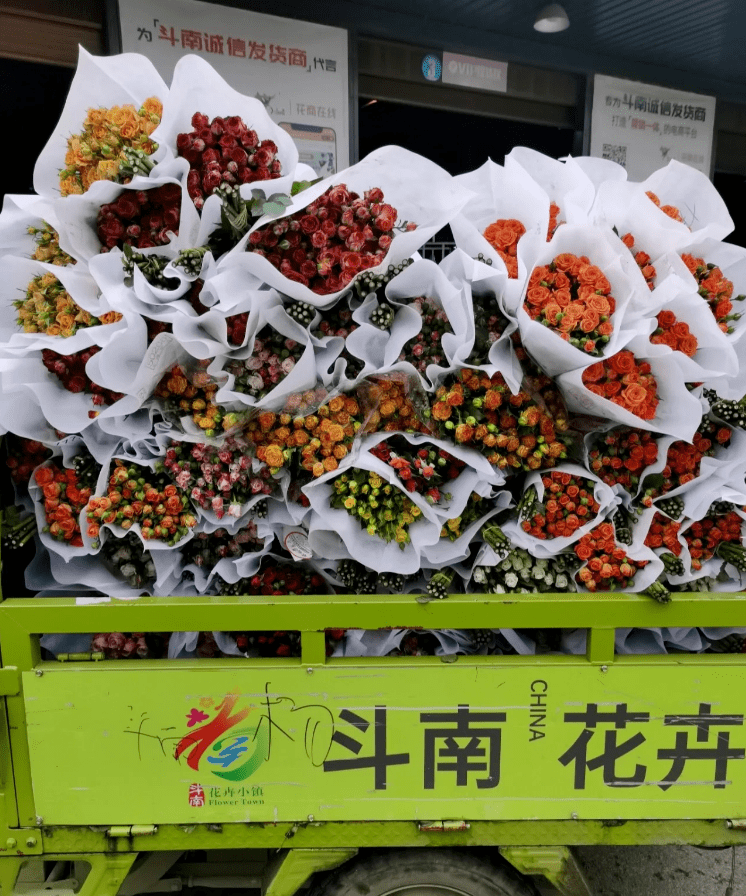 《昆明斗南花卉市场免费捡花攻略》_花市_鲜花_花都