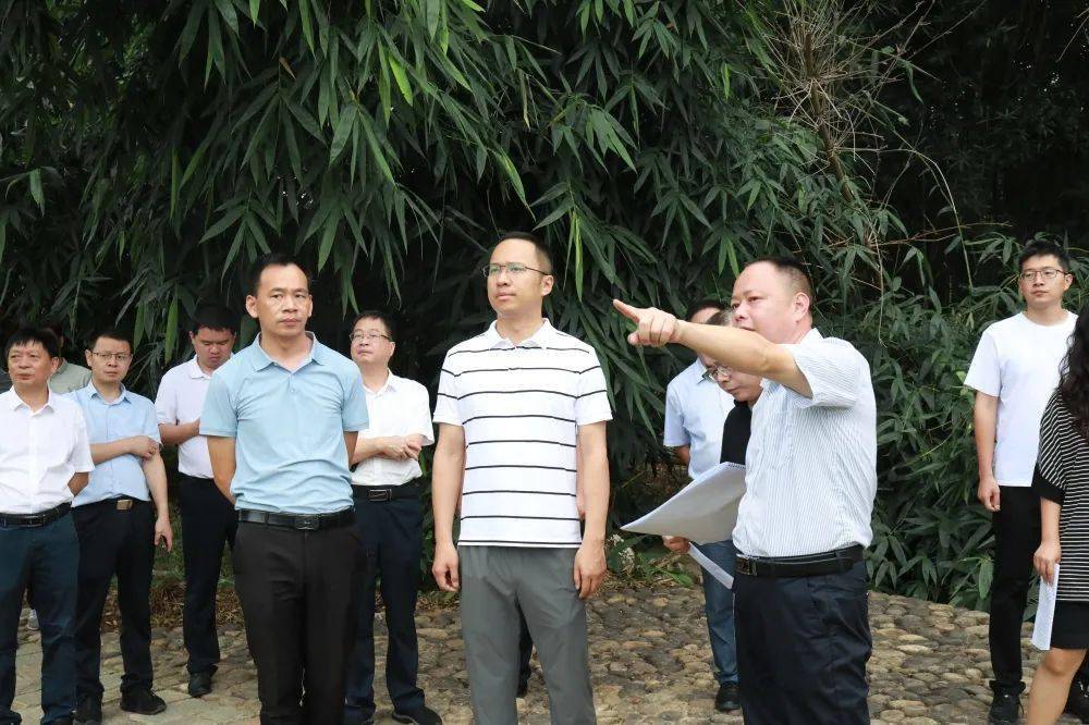 清洁家园"暨推进乡村旅游提升行动_问题_梧桐镇_情况