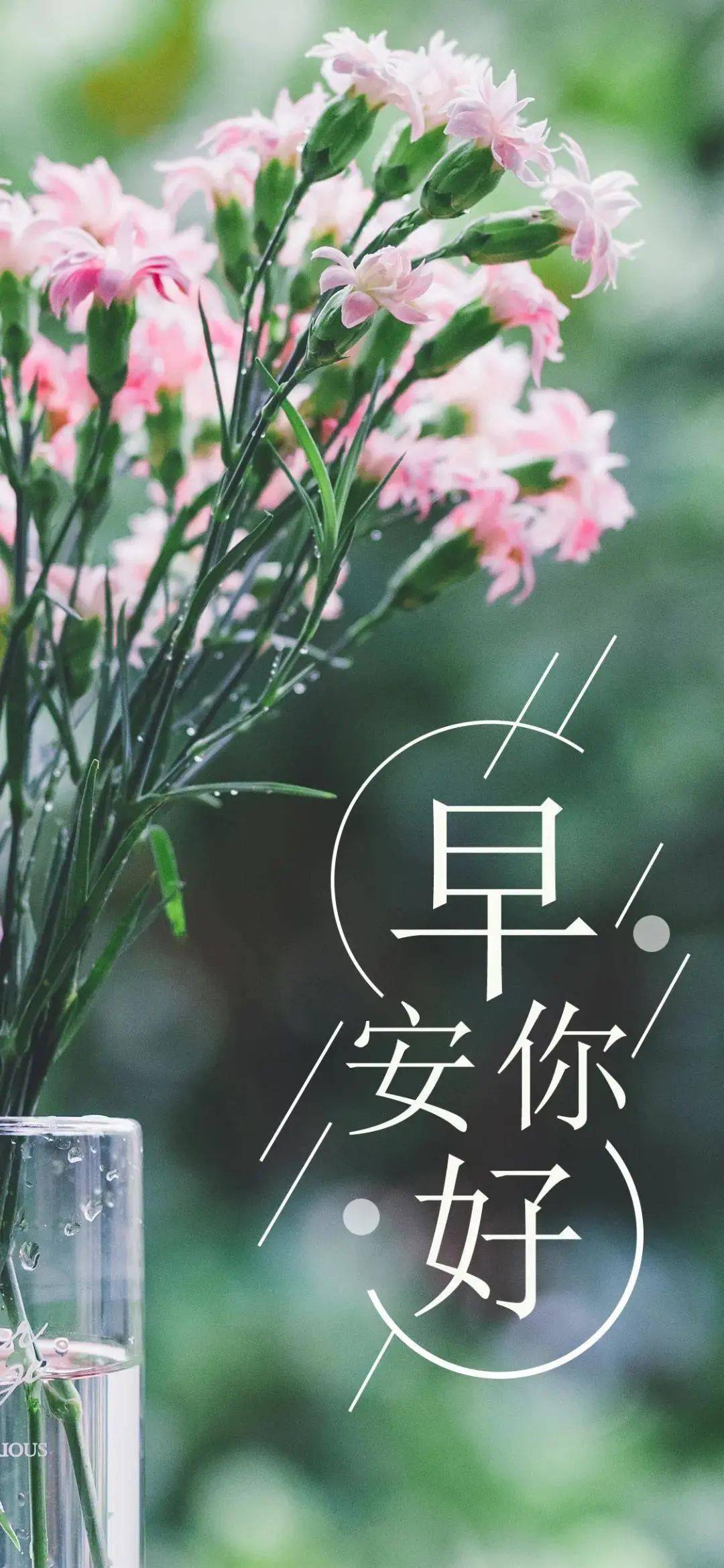 6月14日 | 早安 · 心语_荣华富贵_才是_爱人