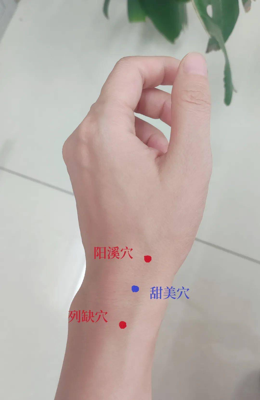 此穴位位于列缺穴与阳溪穴之间,具有清肺解毒的作用.