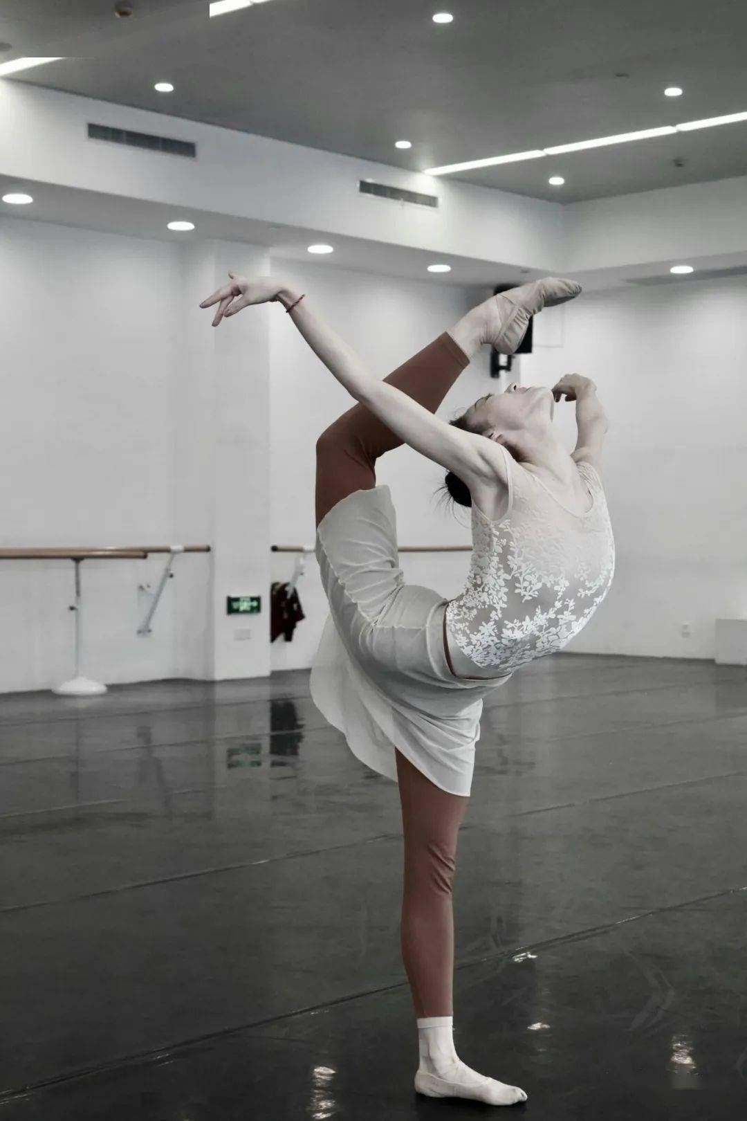 舞蹈小花",国家二级演员,上海歌剧院舞剧团首席舞者_谭一梅_中国_专业