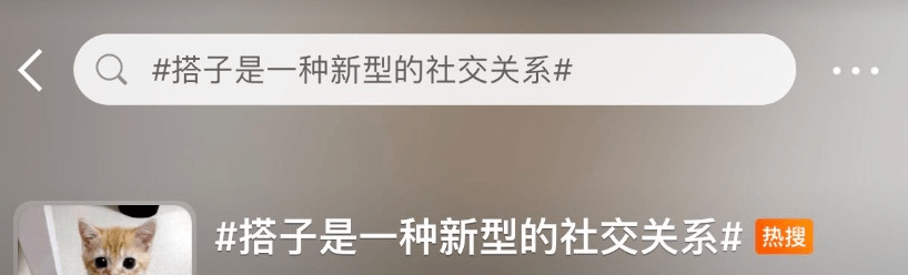 上了热搜的“搭子”,你有几个?_社交_年轻人_中国