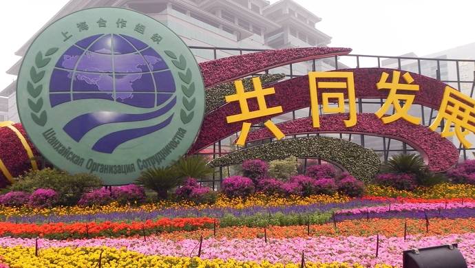 学界动态|上合峰会下月举行,新形势下各方有何期待?