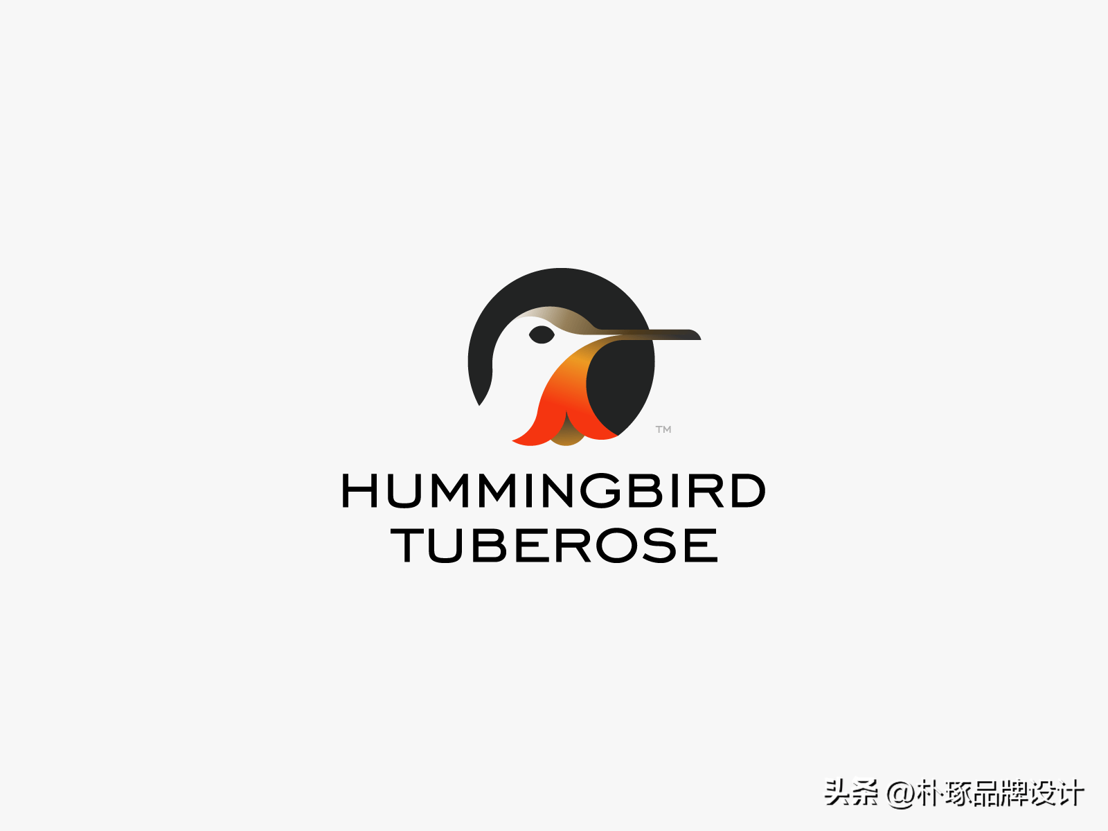 振翅翱翔 归纳35款鸟创意logo设计欣赏_元素_企业_观点