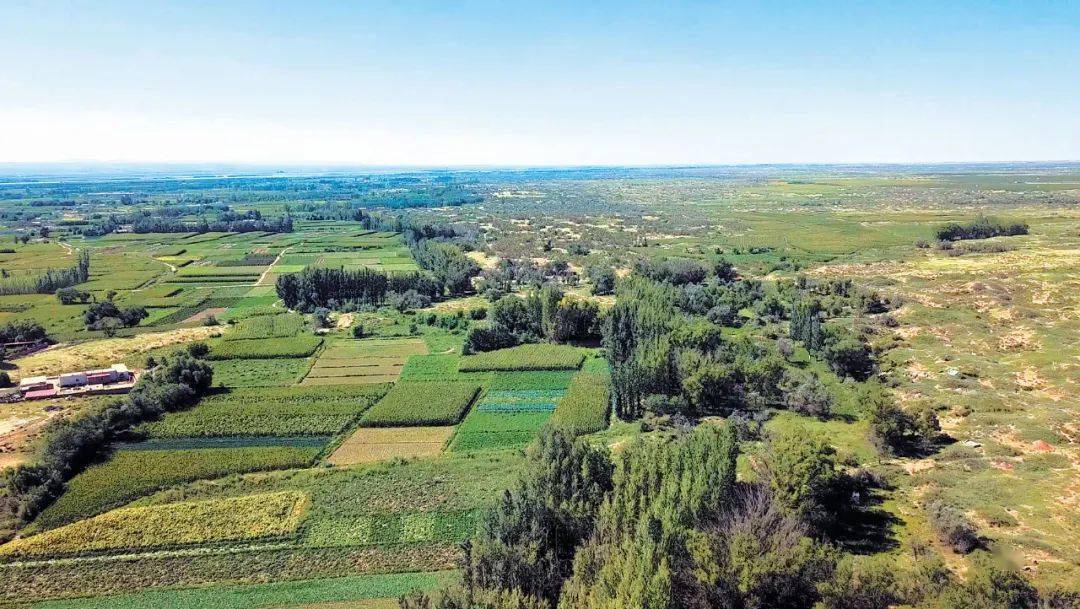 14张对比照片,见证中国沙区黄绿之变_塞罕坝_治沙_柯柯牙