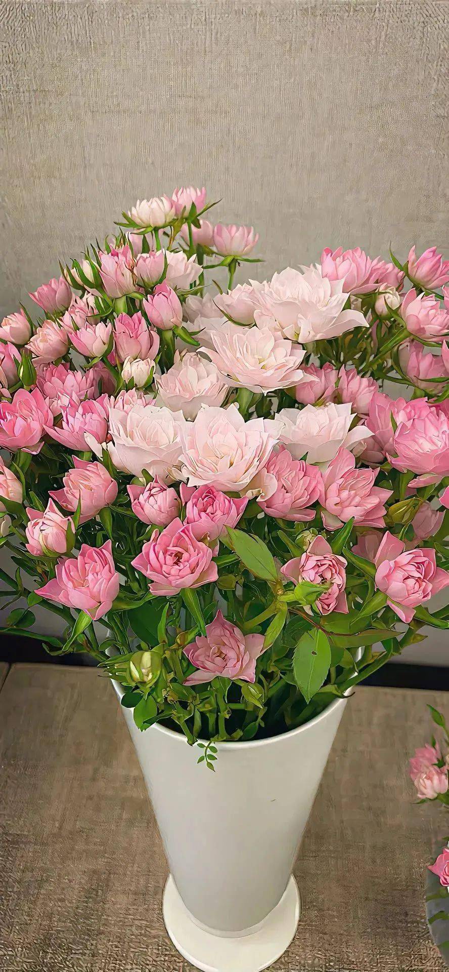 壁纸| 可以用很久的ins风壁纸