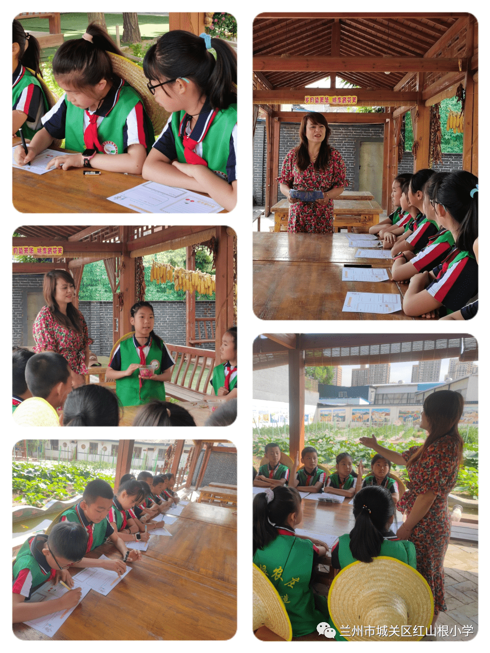 硕果盈枝日 "樱"你而精彩——红山根小学劳动教育主题实践之校园樱桃