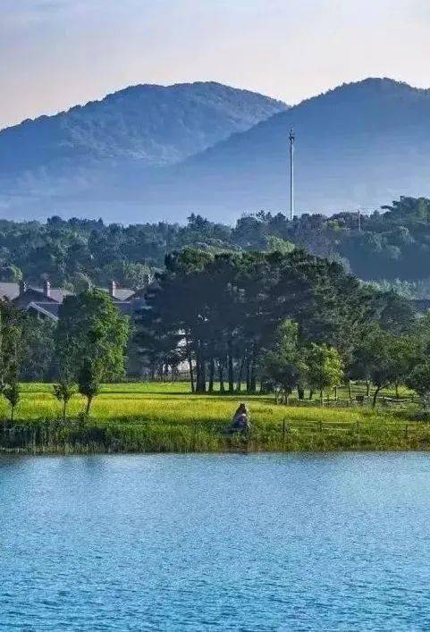 长寿之乡江苏溧阳:开启!曹山鲜甜美味的夏天~_水果_杨梅节_地址