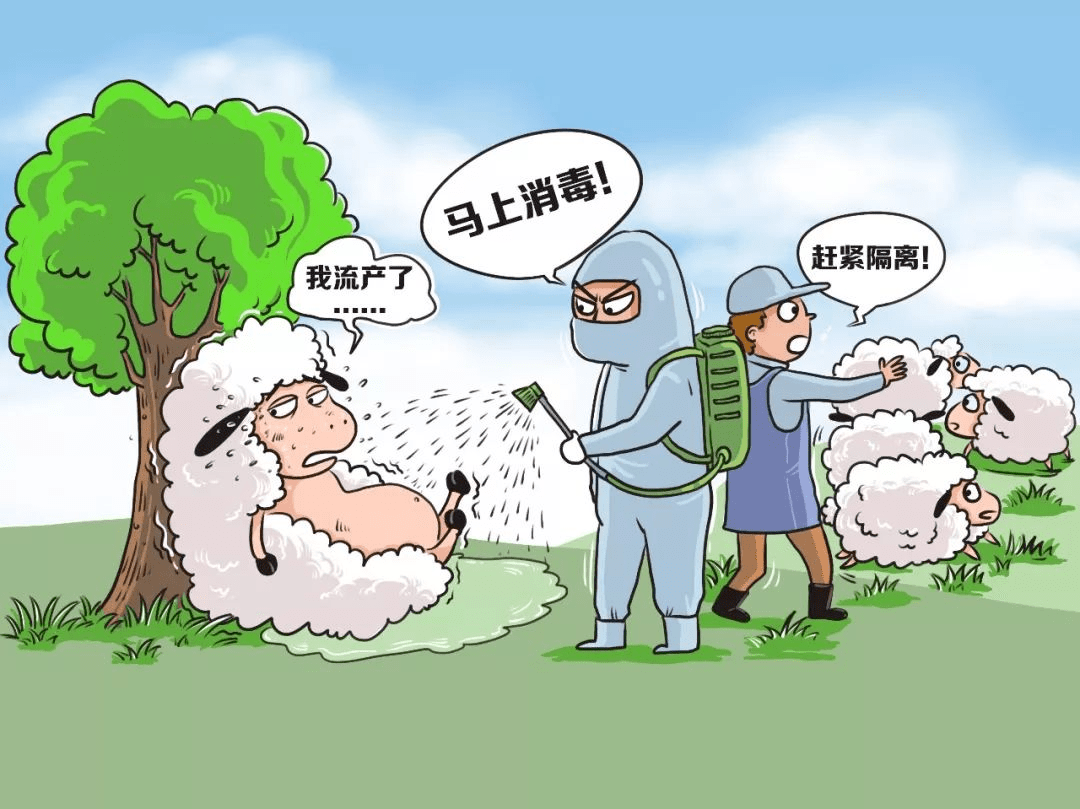 夏天喝啤酒吃烧烤 警惕"布病"找上你_牛羊_防控_布鲁氏菌