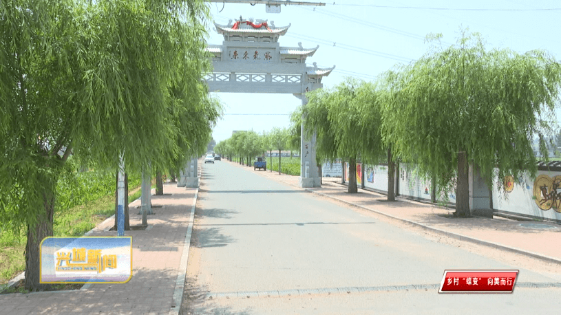 专栏《乡村"蝶变 向美而行》兴城市南大乡:提升人居环境整治水平 绘