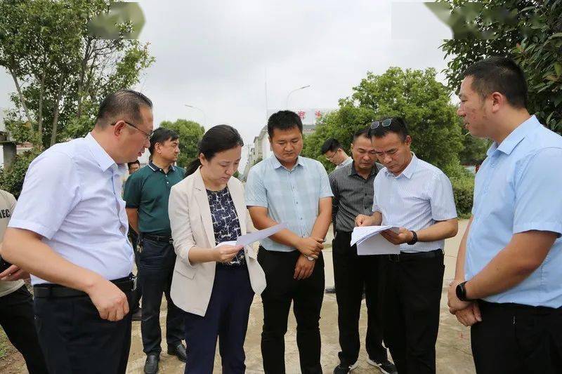 程晓醒带队督导农村黑臭水体治理工作_整改_污水处理厂_有关