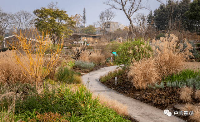 寻麓君花园之荒野花园建造深度解读~_品种_效果_色调