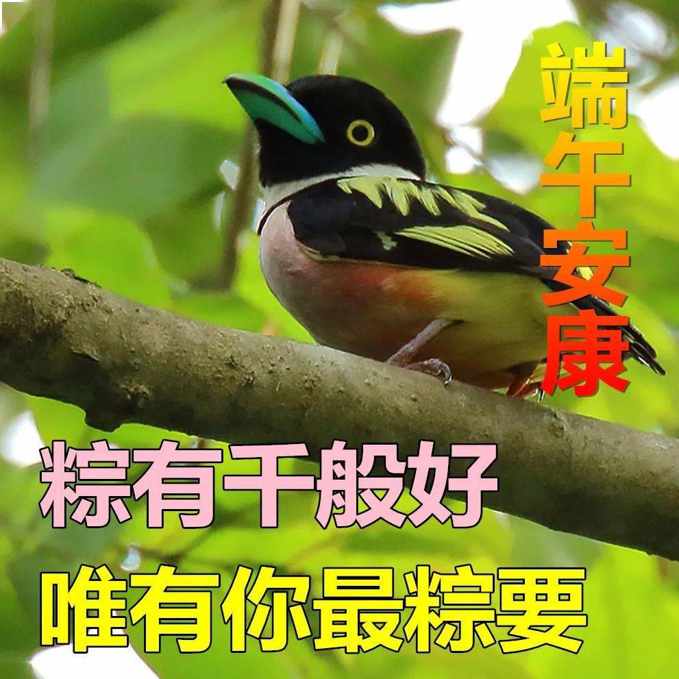今日最新早上好表情包大全,祝老朋友端午安康69,心想事成!