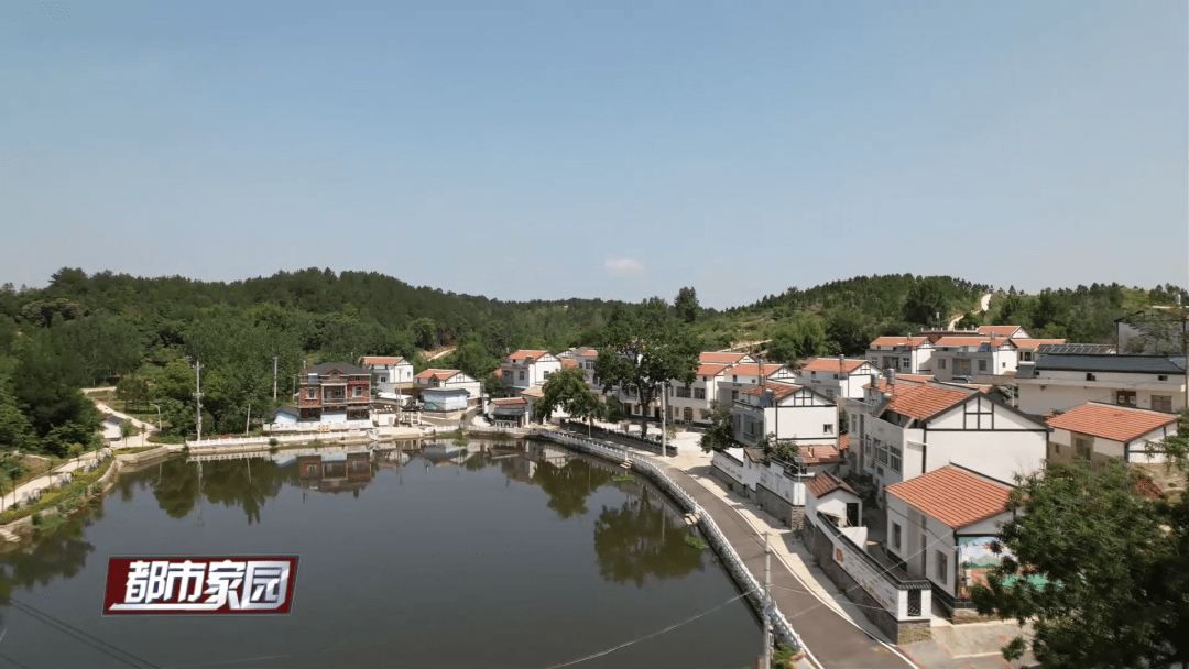 解码"共同缔造"的新洲陈田实践_村民_田中_武汉市人社局