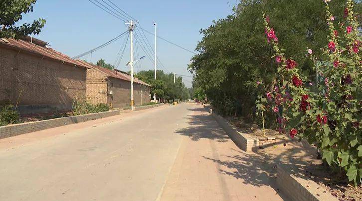 青县新兴镇!_环境_人居_整治