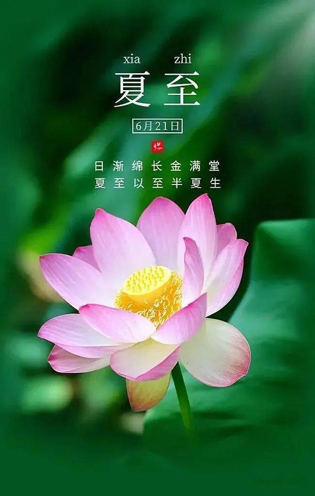 早安心语(夏至吉祥,幸福安康)_浏览器_音乐_祝福