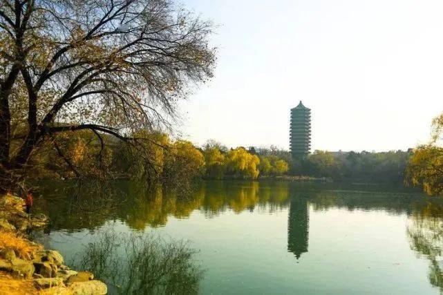 北大那些"世家子弟"们67