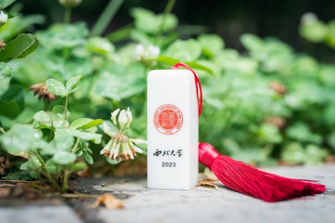 西北大学公章图片