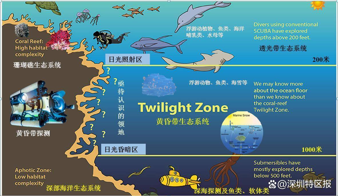 "黄昏带"覆盖海水深度200-1000米的范围,是海洋生产力最活跃,最重要的