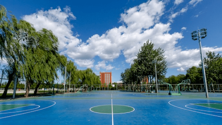 追求卓越,以运动之名——北京体育大学_训练_图片_来源