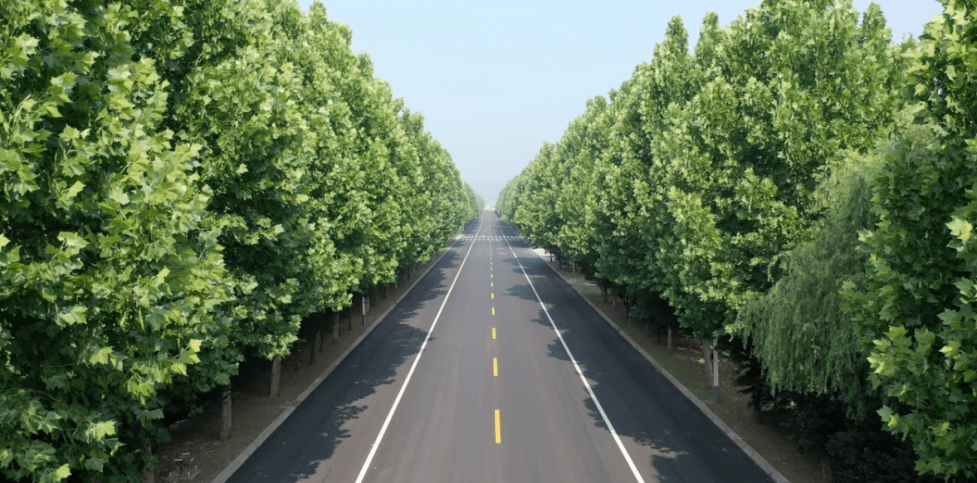 g342日凤线沂水-蒙阴段路面改造中修工程主体顺利完工_施工_公路_东西