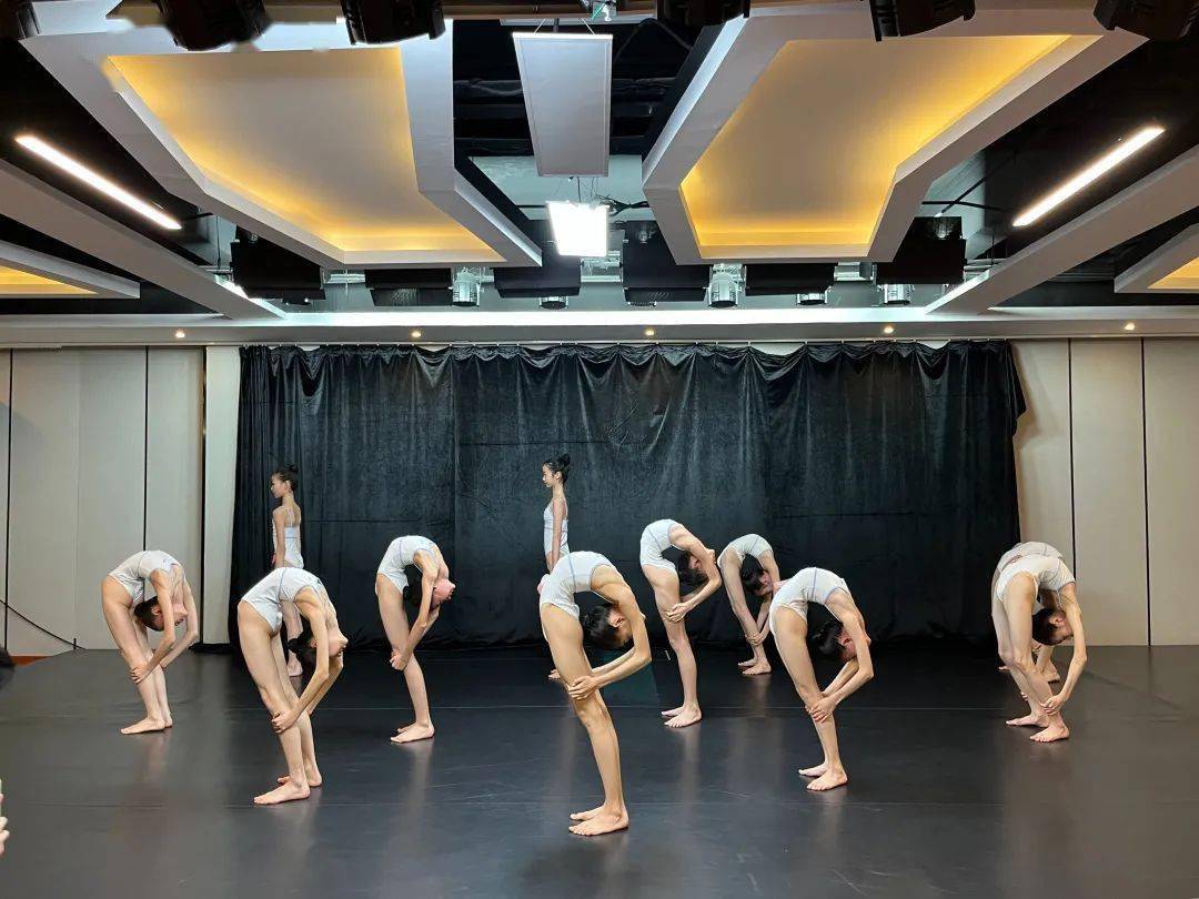 千万别告诉我这是跳舞练出来的_舞蹈_专业_课程