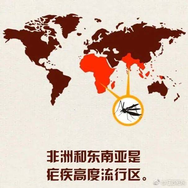 江苏超60例！_病例_重症_疟原虫