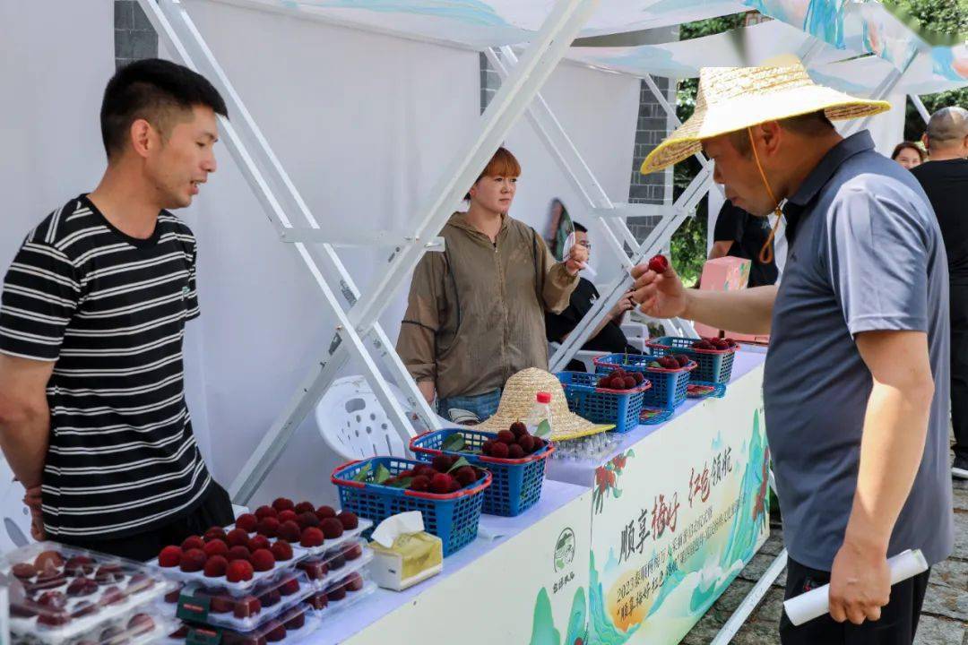 第四届包垟·富民杨梅文化旅游活动隆重开幕_泰顺_红色_游客