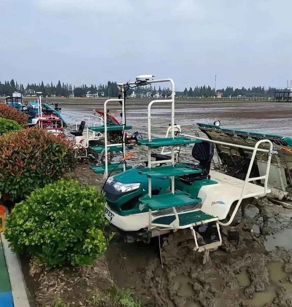 三夏黑科技 | 潍柴雷沃智能插秧机跑出"夏种"加速度_作业_能力_技术