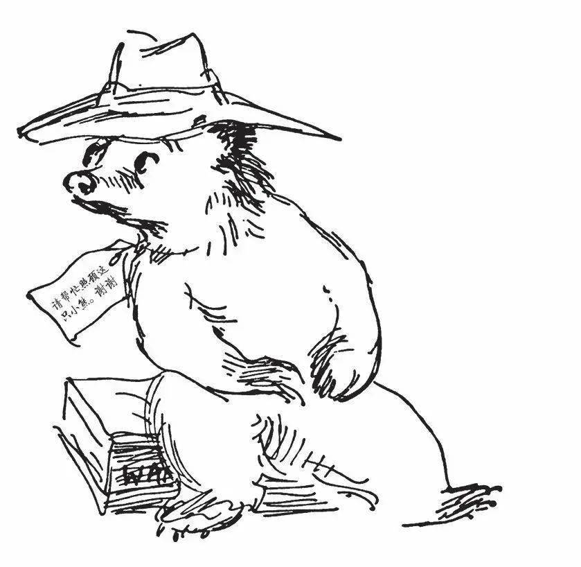 永远长不大的熊孩子帕丁顿,65岁生日快乐!