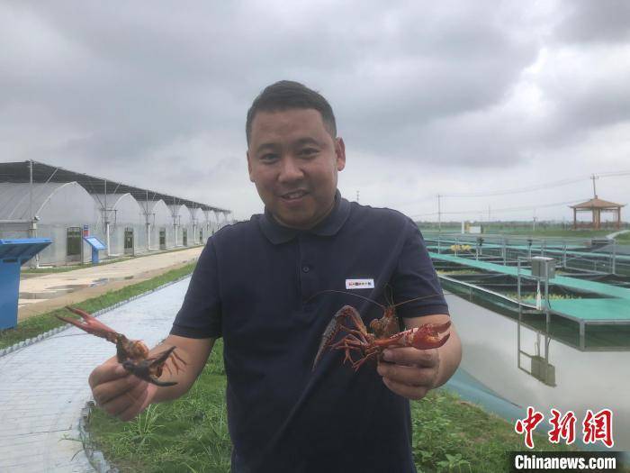 郑州助孕机构哪家好（小龙虾之旅）龙虾旅行家，