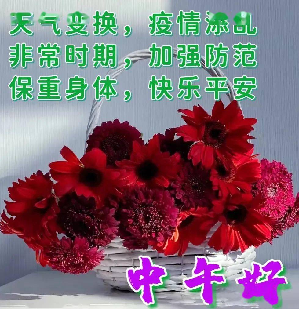 早安问候祝福精选图片，暖心的早上好问候语（早安问候图片带字温馨）