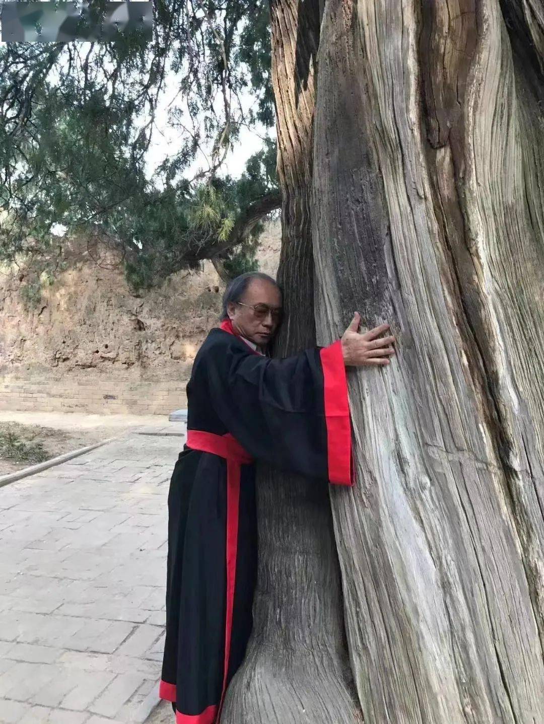 保护_古柏_中华