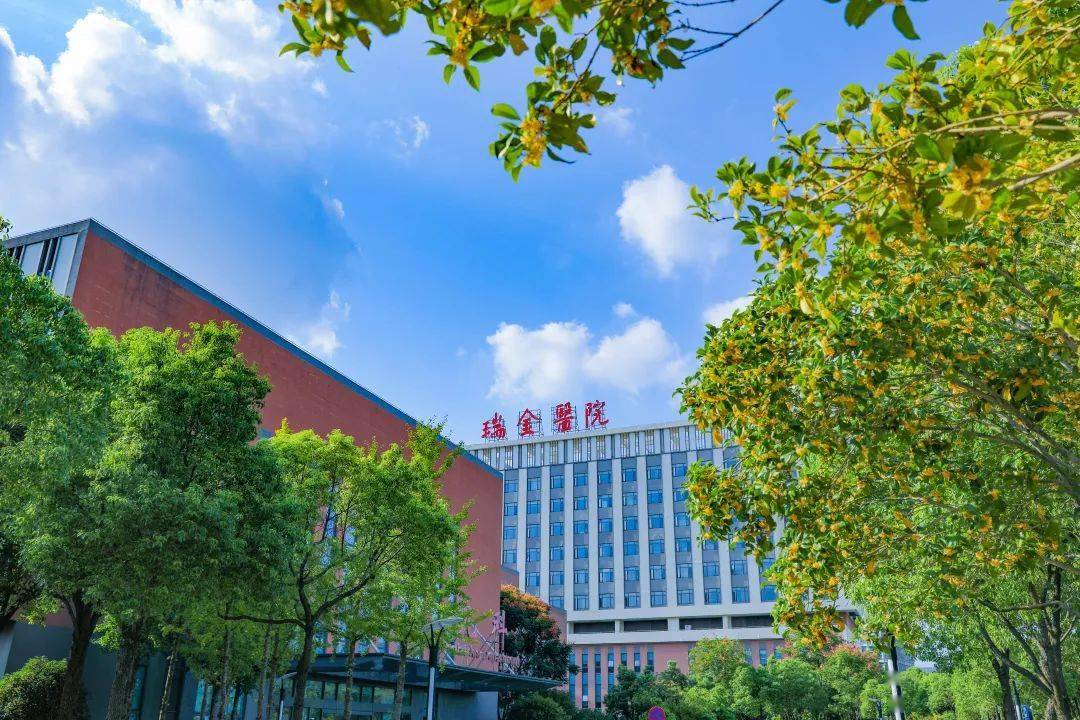 今年6月,赵阿婆一家来到瑞金医院嘉定院区普外科吴庆华专家门诊.