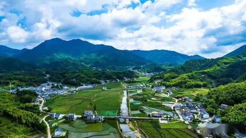 仲夏時節,潛山市官莊鎮水貴村的田園大地披上綠裝,荷塘裡荷花競相綻放