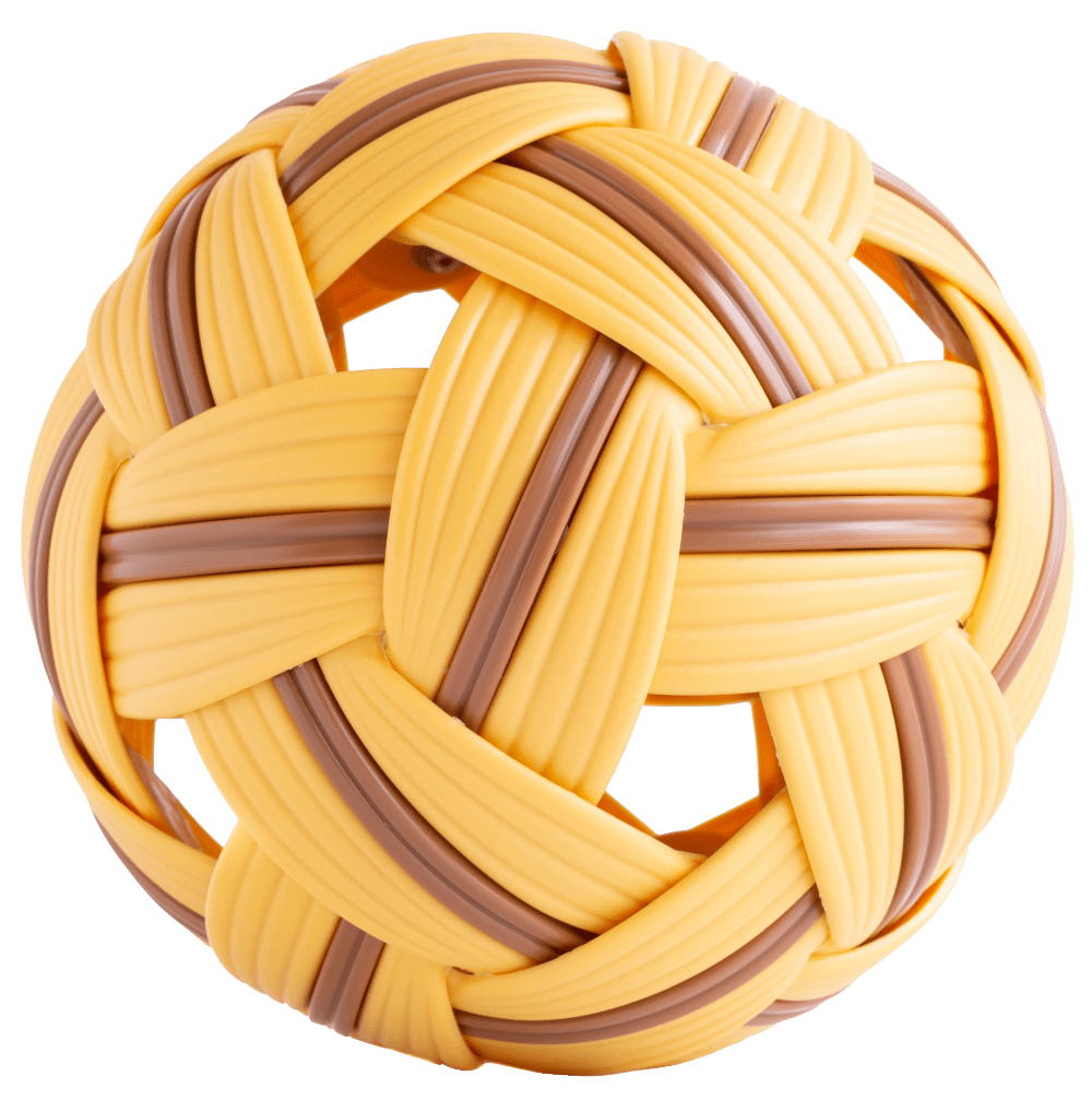 女子藤球队参加2023年亚洲藤球锦标赛斩获佳绩2023年6月19日至23日,由